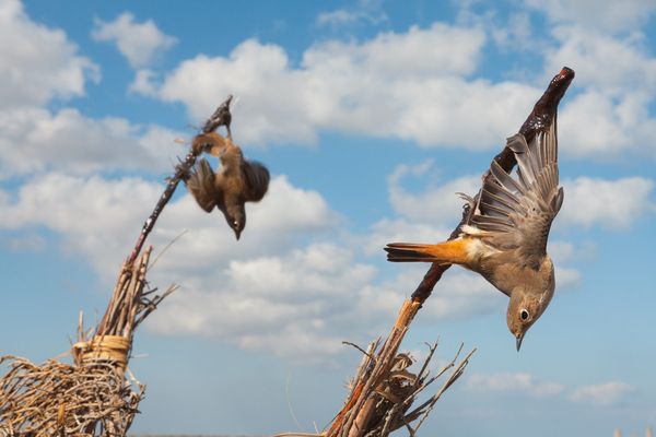 National Geographic magazine has received hundreds of letters from readers who w