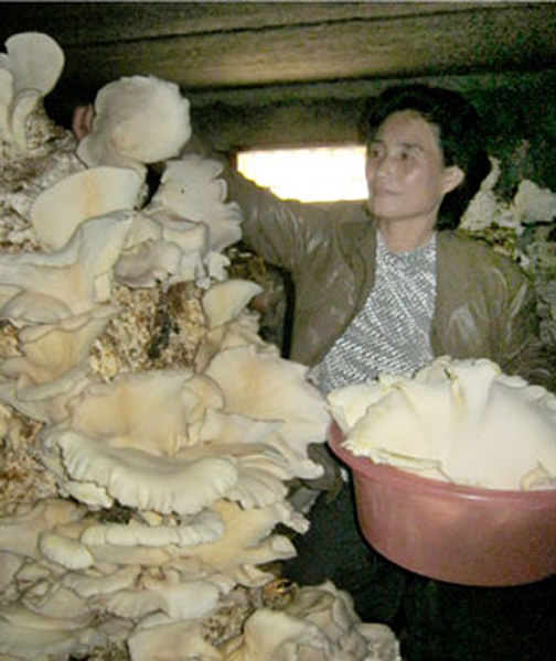 ���ʻƺ�������һ���˼�������20�����ص�Ģ��