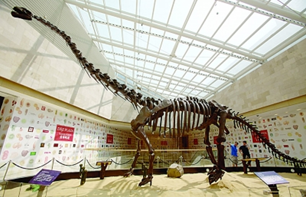 ��ڿ�����������ʯ�Ͼ��»����������