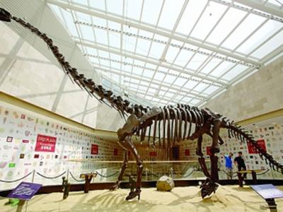 楚王车马阵墓主人究竟是谁 - 神秘的地球 科学