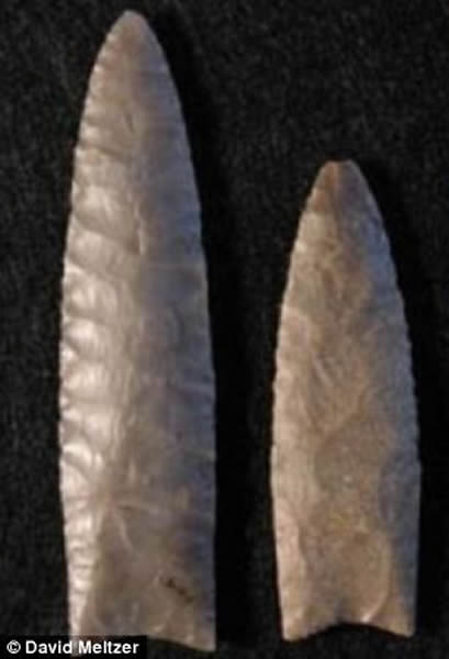 һЩѧΪά˹ѡìһǵײ