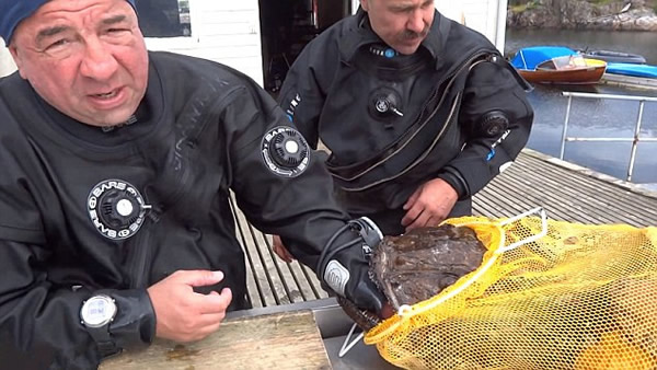 ����˹ǱˮԱ��һ���޴�İ�����ҧס�ֱ۲���