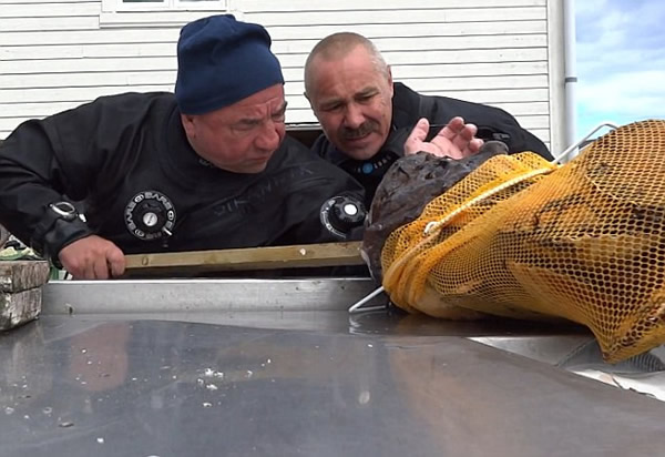 ����˹ǱˮԱ��һ���޴�İ�����ҧס�ֱ۲���