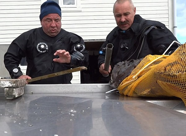 ����˹ǱˮԱ��һ���޴�İ�����ҧס�ֱ۲���