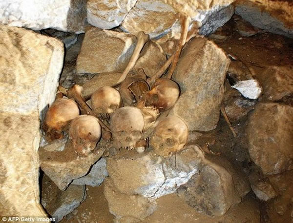 ̼ⶨоԶDNAĻѪͳ֮һ