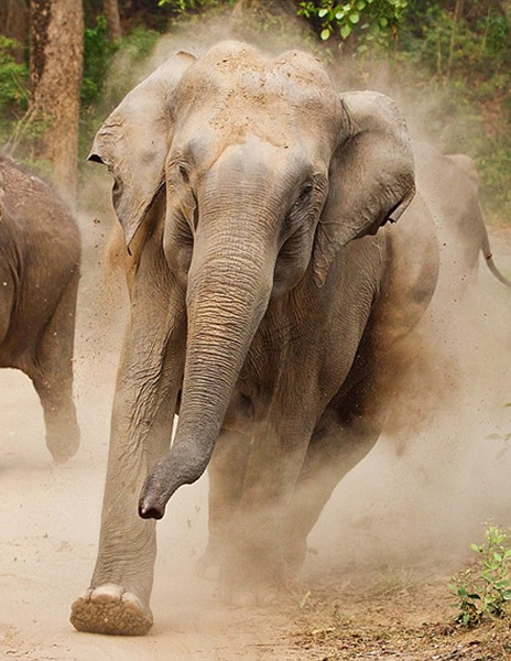 Ұ��������Ӱʦ�������������ĸ��Ϯ��