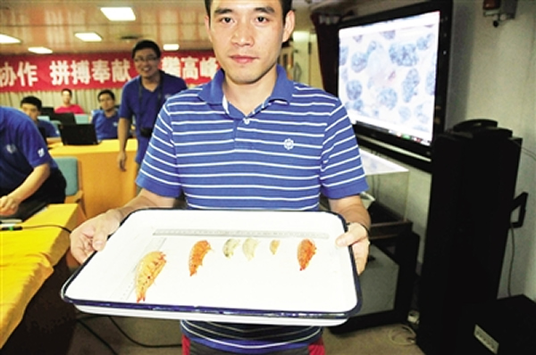 生物学家刘诚刚展示“蛟龙”号生物诱捕装置捕获的端足类生物。