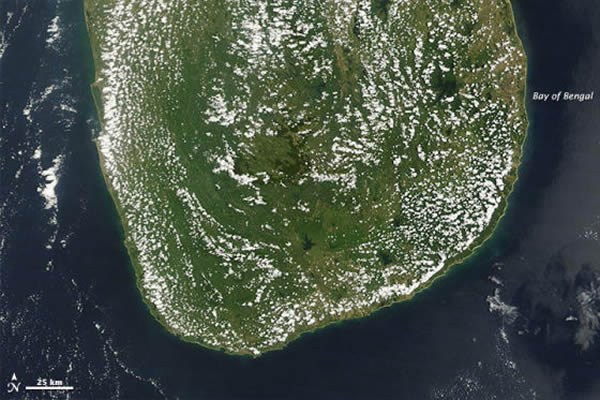 当地时间上午10时30分左右,一些扁平状、棉花般淡积云