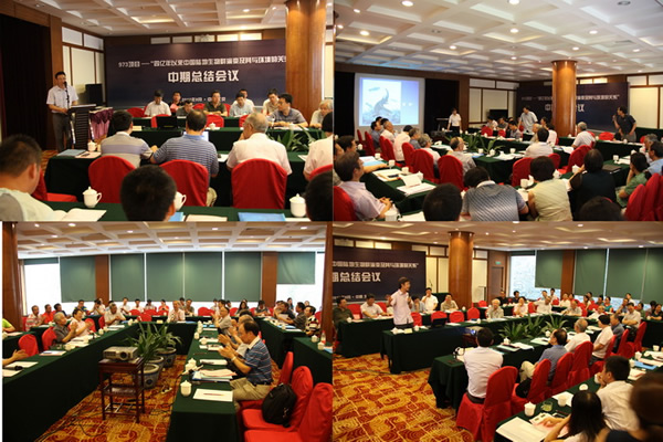 973Ŀй½Ⱥݱ估뻷Ĺϵܽ