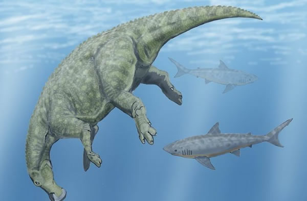 角鳞鲨和鸭嘴龙