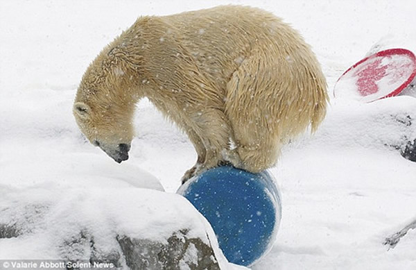 ������չʾ�߳�ƽ������