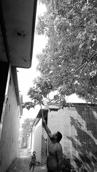 球形闪电袭击河北村庄