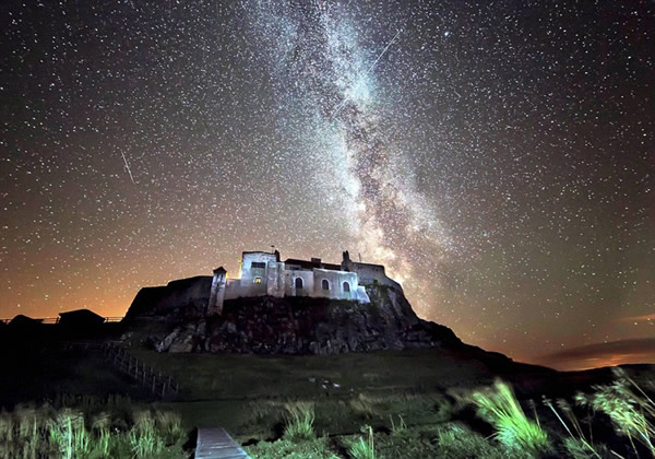 Ӣ��ҵ������ѧ���ǲ�׽����Ӣ����������