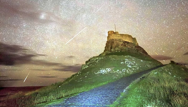 Ӣ��ҵ������ѧ���ǲ�׽����Ӣ����������