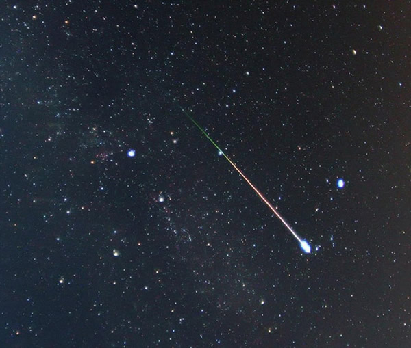 Ӣ��ҵ������ѧ���ǲ�׽����Ӣ����������