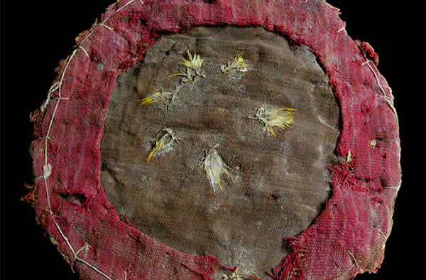 Researchers have discovered a feathered shield, dating back around 1,300 years,