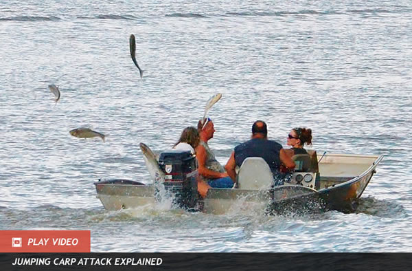 Rednecks Pull No Punches Battling Invader Fish