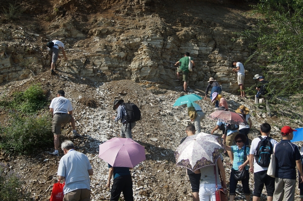 参观相关地层剖面