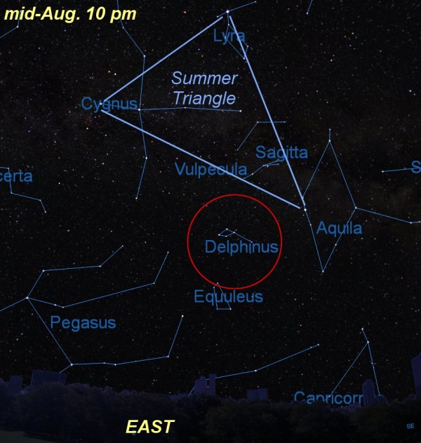 Finder chart for Delphinius constellation in the evening sky. The Summer Triangl