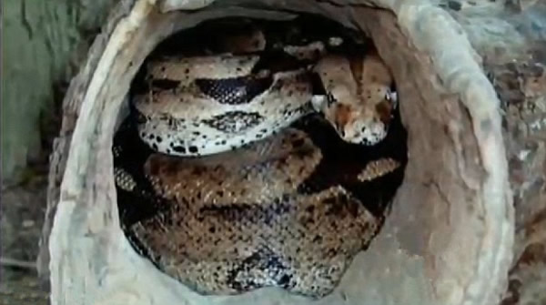 ����2�׼�����������ȫ����Ž䱸