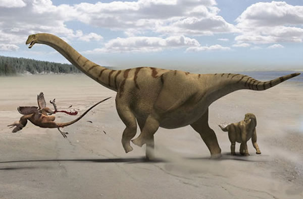 Plant-eating dinosaurs called sauropods had the longest necks in the animal king