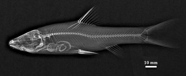 ���Ϻ��ˮϵ������������һ���֡������������