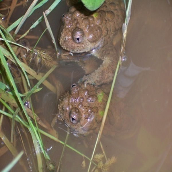 ���ܶ���ǿ�������ϵͳ����