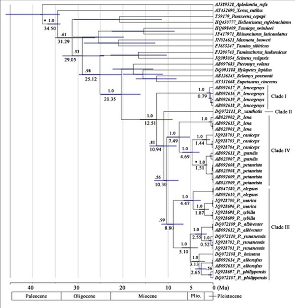 �������о�ȡ�ý�չ