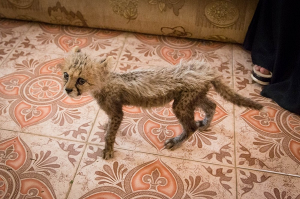 �ӿ����ǺͰ��������ǲ��صĶ��