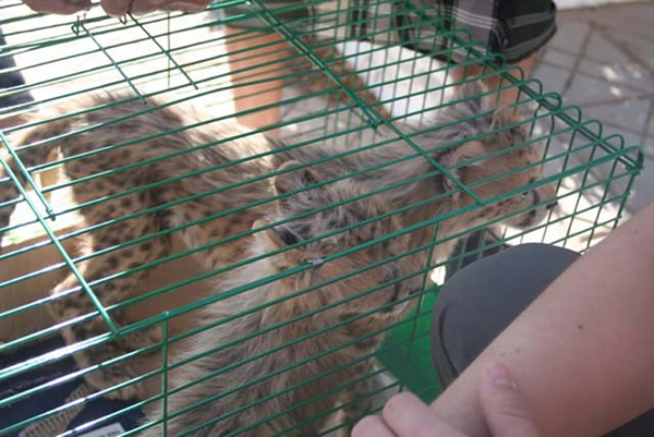 ��������ķ��ޱ���