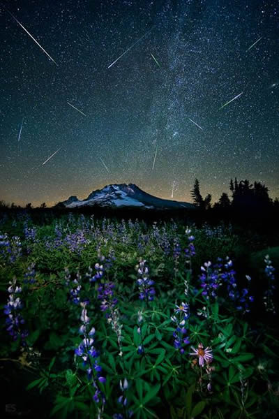 �������ո��ݺ���ɽ��Ӣ����������