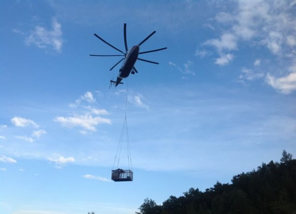 俄罗斯出动直升机解救被洪水围困棕熊