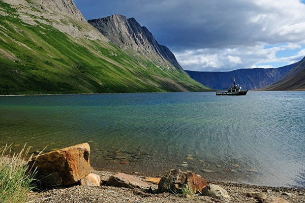 美国律师在加拿大托恩盖特国家公园遭遇北极熊袭击