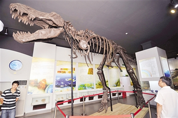 ������Ȼ�����չ���Ӽ��ô󰢶�������Ȼ��ʷ����������ı����Ǽ�ģ��