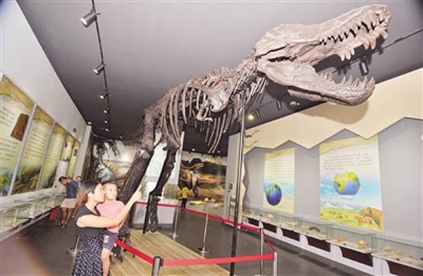 ������Ȼ�����չ���Ӽ��ô󰢶�������Ȼ��ʷ����������ı����Ǽ�ģ��