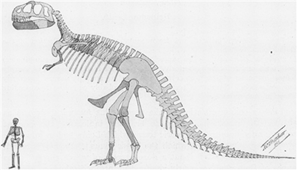 ��ͳ��������������ı���������ԭͼ��ʾ�������ձ���Ϊ����Ӧ����ͷ�߰���β�ʹ���ֱ����̬