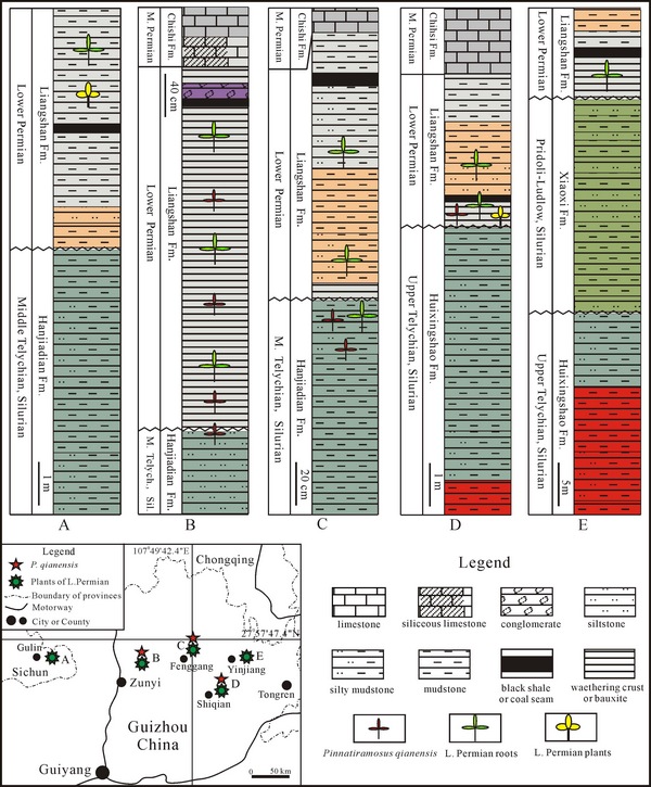 不同剖面地层及其化石产出对比图