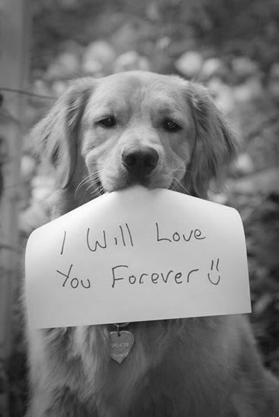 �������������岻ͬ����������