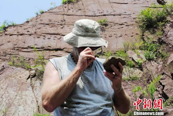 专家在现场研究化石