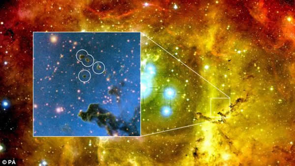 Ǿޱ�����Ǿ������4600����ľ޴󳾰�������