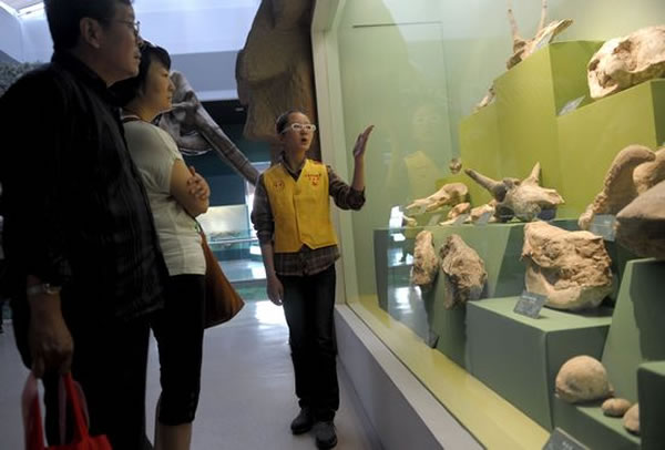 甘肃省博物馆志愿者在甘肃省博物馆古生物陈列馆为观众讲解。