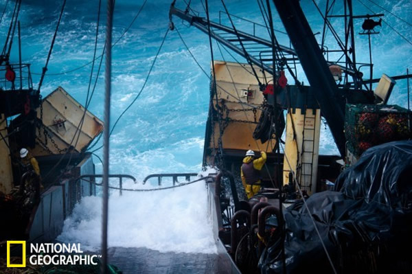 在印度洋南部的公海上,巨大的浪涛有时候会使捕鱼和调查工作不得不停下来。有些波浪甚至能打到船的顶端。