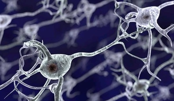 �о���Ա��С����Ĵ���ϸ�����й۲�