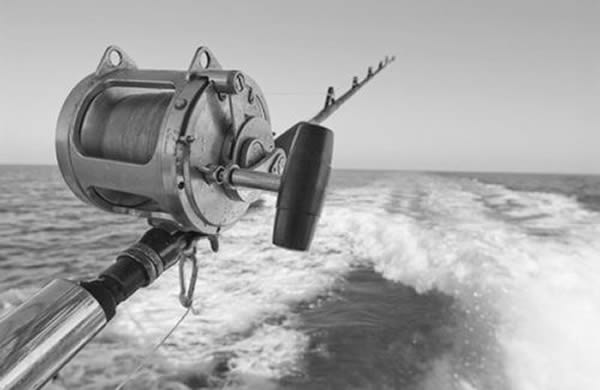 欧盟与法罗群岛的“鲱鱼战争”