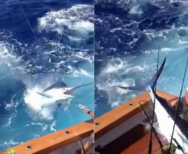 һ���ش�350���ľ�����ǹ��Ծ����ͧ��Щ��������