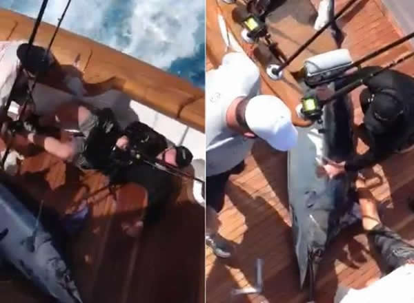 һ���ش�350���ľ�����ǹ��Ծ����ͧ��Щ��������