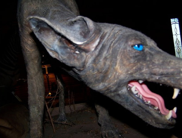 ��˵�е���Ѫ���ޡ���׿�ؿ�����