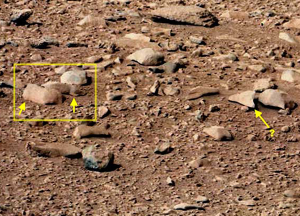 ������š��ڻ��Ƿ��ֲ�������棿��