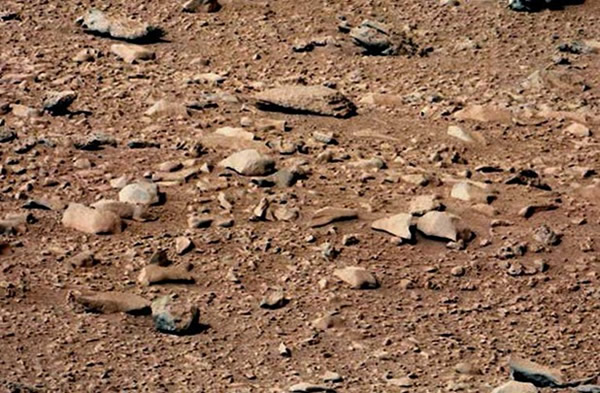 ������š��ڻ��Ƿ��ֲ�������棿��