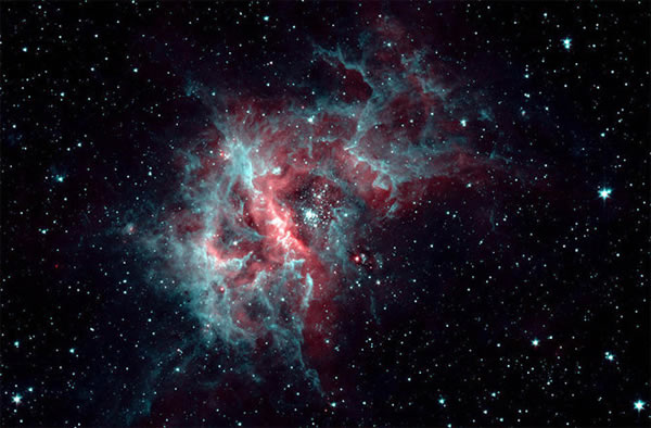 �����γ���RCW49��һ���Ӵ�ġ���Ӥ�ҡ�����ѧ����Ϊ���д��ڳ���2,200��Ӥ������